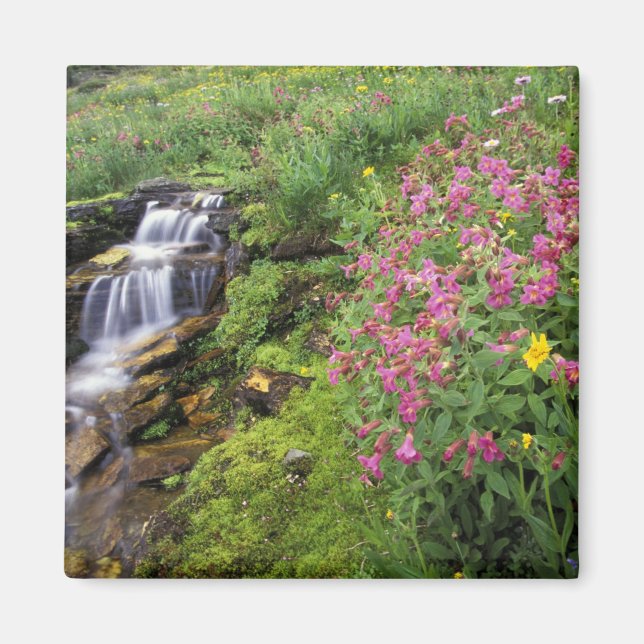 Nordamerika, USA, Montana, Glacier National 4 Magnet (Vorne)