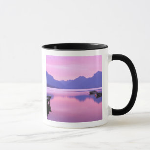 Nordamerika, USA, Montana, Glacier National Tasse