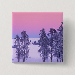 Nordamerika, USA, Montana, Yellowstone Button
