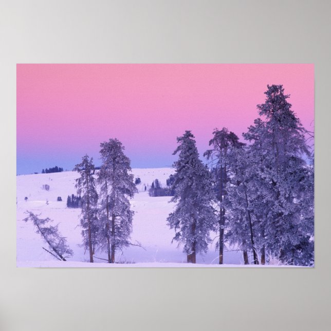 Nordamerika, USA, Montana, Yellowstone Poster (Vorne)