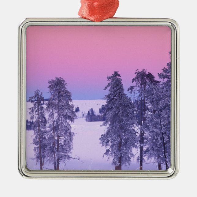 Nordamerika, USA, Montana, Yellowstone Silbernes Ornament (Vorne)