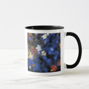 Nordamerika, USA, NH, Blätter in einem Teich daneb Tasse