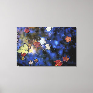 Nordamerika, USA, NH, Blätter in einem Teich Leinwanddruck