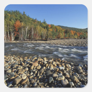 Nordamerika, USA, NH, Ein Kieselstrand an dem Quadratischer Aufkleber