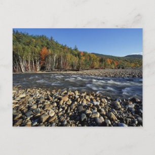 Nordamerika, USA, NH, Ein Kieselstrand an der Postkarte