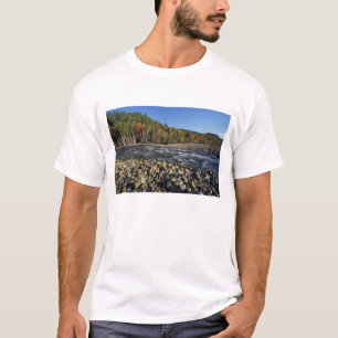 Nordamerika, USA, NH, Ein Kieselstrand T-Shirt