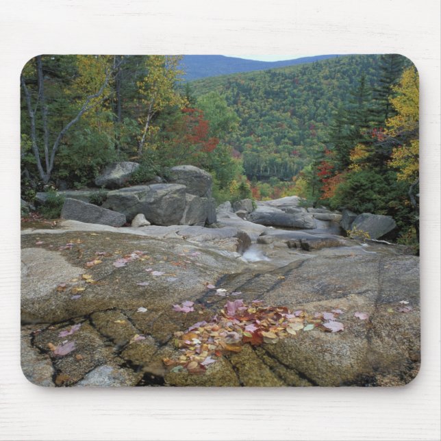 Nordamerika, USA, NH, Herbstfolien in New York Mousepad (Vorne)