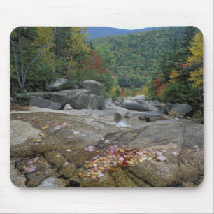 Nordamerika, USA, NH, Herbstlaub in New Mousepad