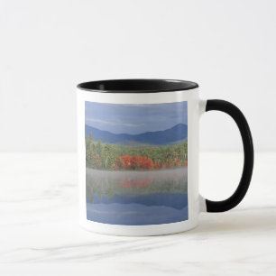 Nordamerika, USA, NH, Herbstreflexionen in Tasse