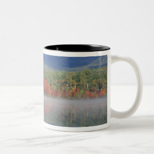 Nordamerika, USA, NH, Herbstreflexionen in Zweifarbige Tasse