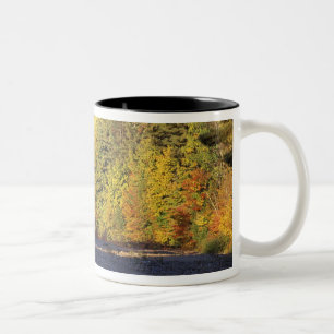 Nordamerika, USA, NH, Saco River. Kiesel Zweifarbige Tasse