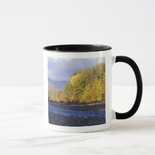 Nordamerika, USA, NH, Saco River. Kobold Tasse