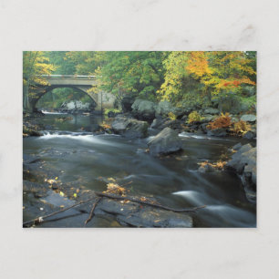 Nordamerika, USA, NH, The Bridge at Packers Postkarte
