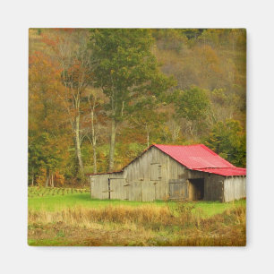 Nordamerika, USA, North Carolina, ländliche Gebiet Magnet