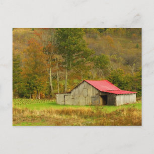 Nordamerika, USA, North Carolina, ländliche Gebiet Postkarte
