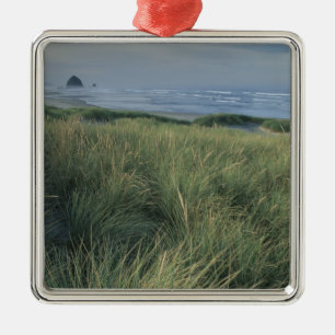 Nordamerika, USA, Oregon, Canon Beach, Silbernes Ornament