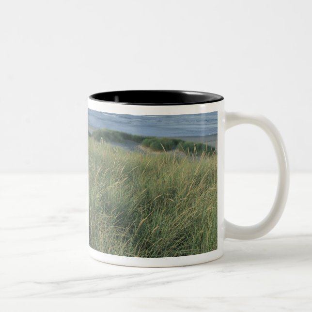 Nordamerika, USA, Oregon, Canon Beach, Zweifarbige Tasse (Rechts)