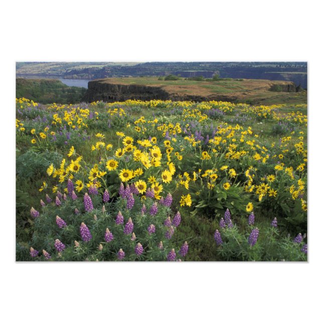 Nordamerika, USA, Oregon, Columbia River 2 Fotodruck (Vorne)