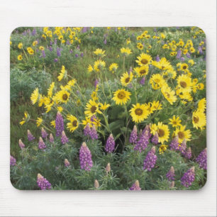 Nordamerika, USA, Oregon, Columbia River Mousepad