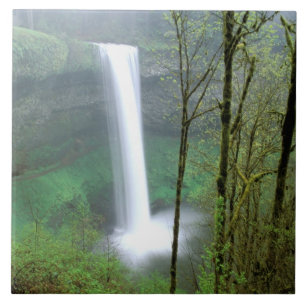 Nordamerika, USA, Oregon, Silver Falls Staat Fliese