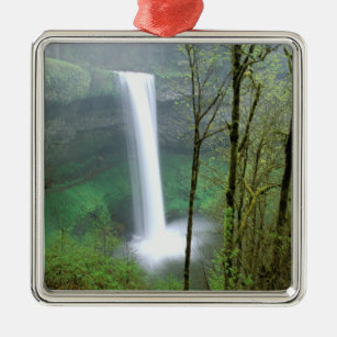 Nordamerika, USA, Oregon, Silver Falls Staat Silbernes Ornament