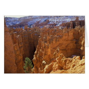 Nordamerika, USA, Utah, Bryce Canyon 2