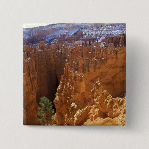 Nordamerika, USA, Utah, Bryce Canyon 2 Button