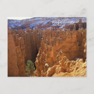 Nordamerika, USA, Utah, Bryce Canyon 2 Postkarte