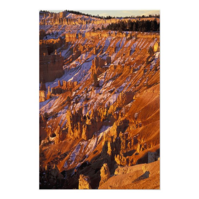 Nordamerika, USA, Utah, Bryce Canyon Fotodruck (Vorne)