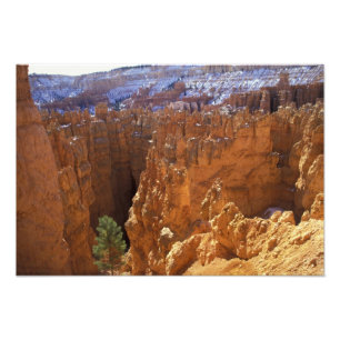 Nordamerika, USA, Utah, Bryce Canyon Fotodruck