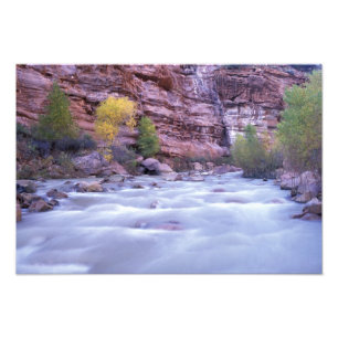 Nordamerika, USA, Utah, Zion National Park. 2 Fotodruck