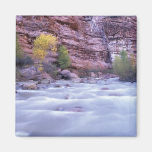 Nordamerika, USA, Utah, Zion National Park. 2 Magnet