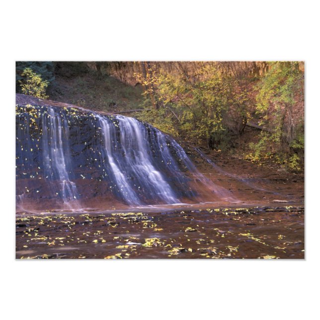 Nordamerika, USA, Utah, Zion National Park. Fotodruck (Vorne)