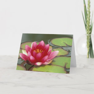 Nordamerika, USA, WA, Seattle, Woodland Park Karte