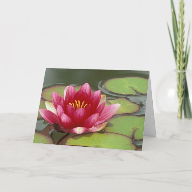 Nordamerika, USA, WA, Seattle, Woodland Park Karte (Vorderseite)