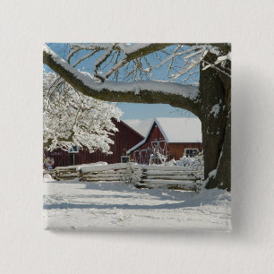 Nordamerika, USA, WA, Whidbey Insel. 2 Button