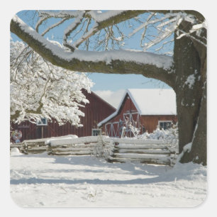 Nordamerika, USA, WA, Whidbey Insel. 2 Quadratischer Aufkleber