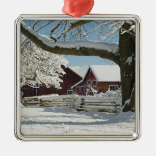 Nordamerika, USA, WA, Whidbey Insel. 2 Silbernes Ornament