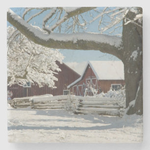 Nordamerika, USA, WA, Whidbey Insel. 2 Steinuntersetzer