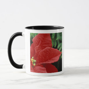 Nordamerika, USA, WA, Woodinville, Rot Tasse