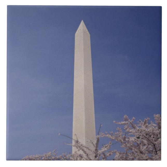 Nordamerika, USA, Washington DC. Washington Fliese (Vorderseite)