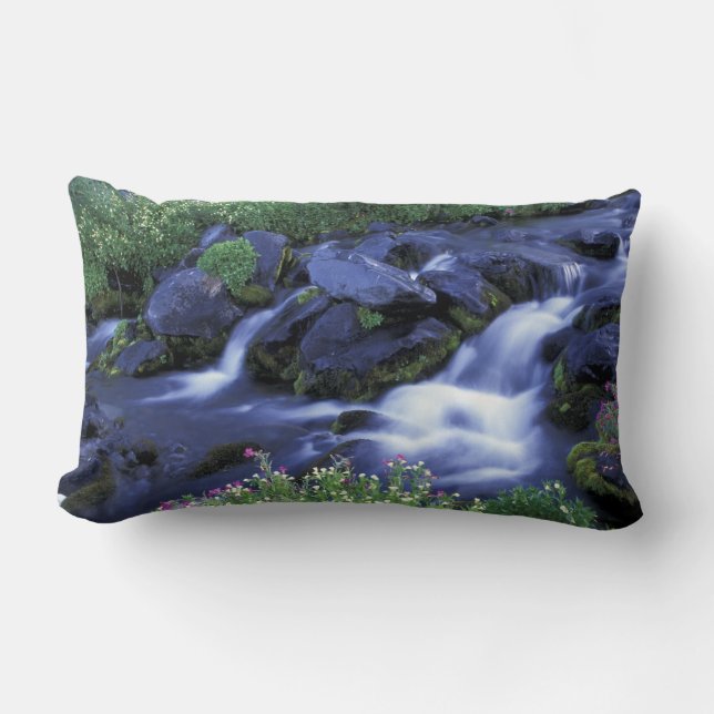 Nordamerika, USA, Washington, Mt. Rainier 3 Lendenkissen (Vorderseite)