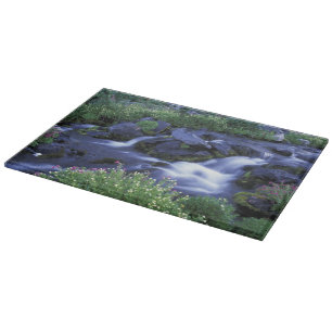 Nordamerika, USA, Washington, Mt. Rainier 3 Schneidebrett