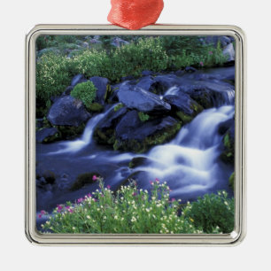 Nordamerika, USA, Washington, Mt. Rainier 3 Silbernes Ornament