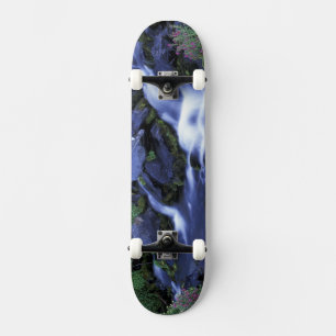Nordamerika, USA, Washington, Mt. Rainier 3 Skateboard
