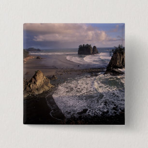 Nordamerika, USA, Washington, Olympic NP, Button