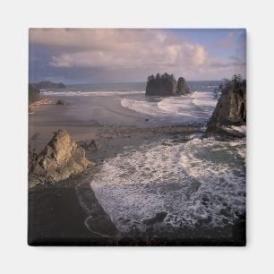 Nordamerika, USA, Washington, Olympic NP, Magnet