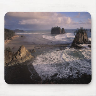 Nordamerika, USA, Washington, Olympic NP, Mousepad