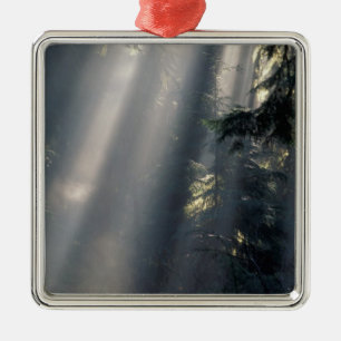 Nordamerika, USA, Washington, Olympic NP, Ornament Aus Metall