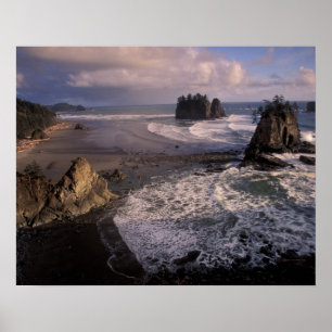 Nordamerika, USA, Washington, Olympic NP, Poster